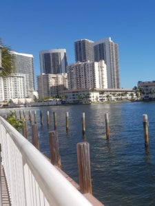 miami florida golden condo